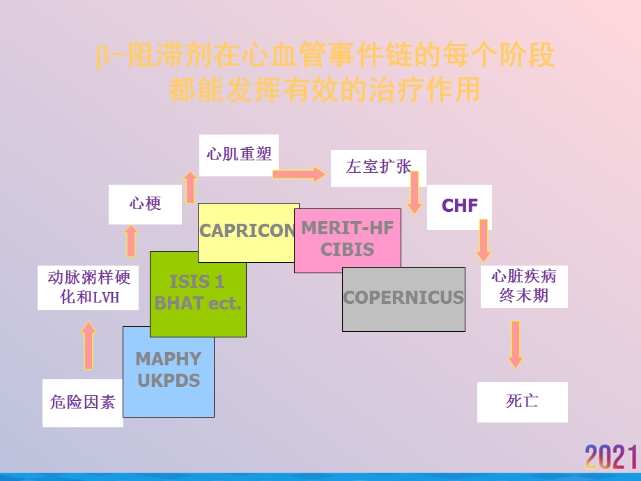 爱络心血管急重症专家讲义2021推荐课件.ppt_第3页