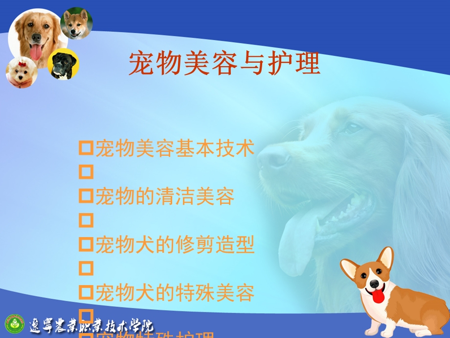 宠物特殊护理教学培训课件.ppt_第1页