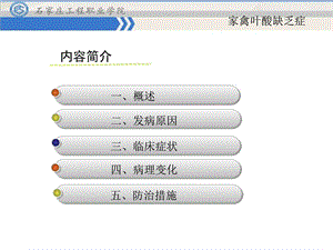 家禽叶酸缺乏症广告传媒人文社科专业课件.pptx