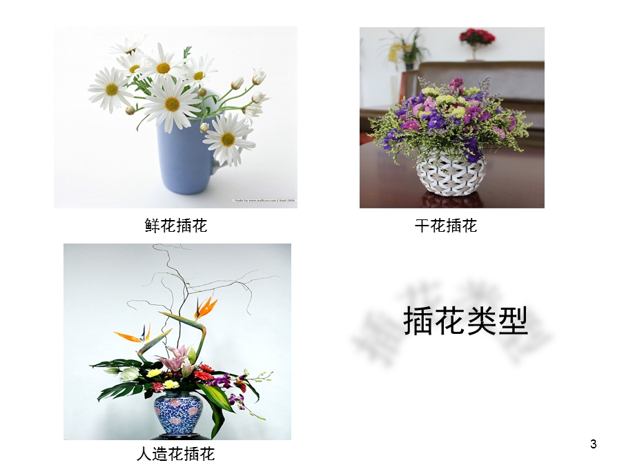 插花艺术精选教学课件.ppt_第3页