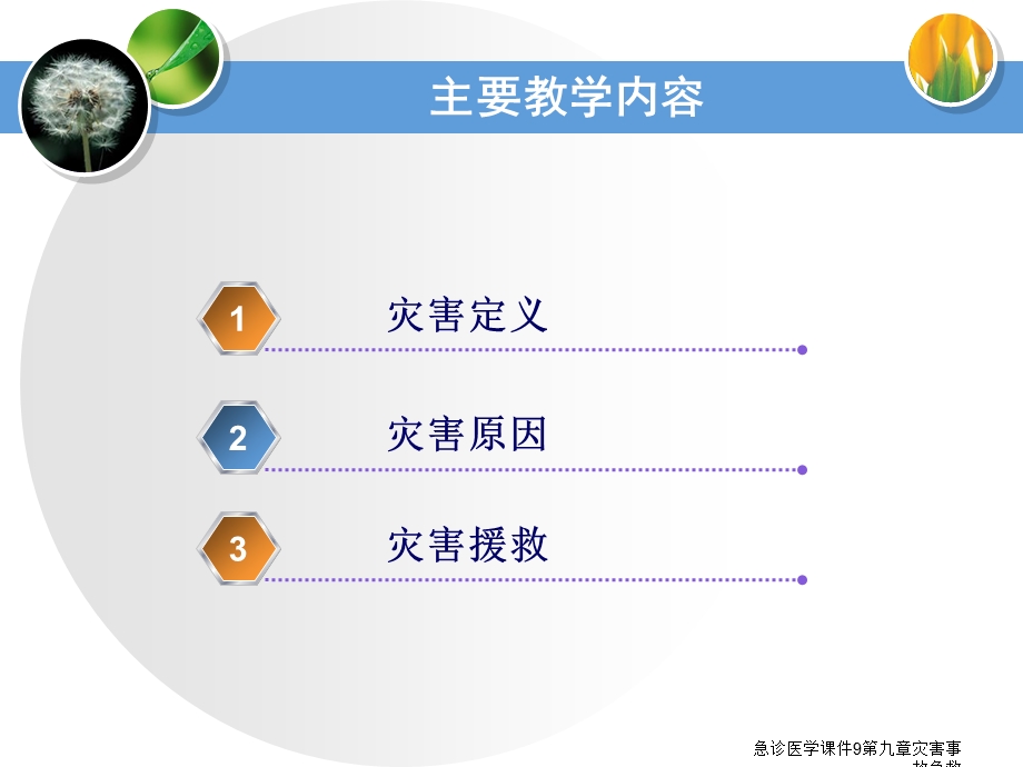 急诊医学课件9第九章灾害事故急救课件.ppt_第3页