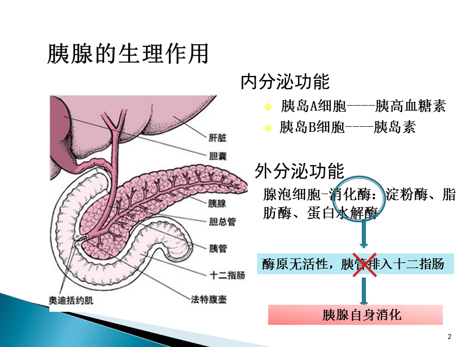 急性胰腺炎病例分析ppt课件.pptx_第2页