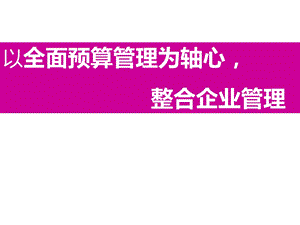 大型国有企业全面预算管理DAYIN幻灯片课件.ppt