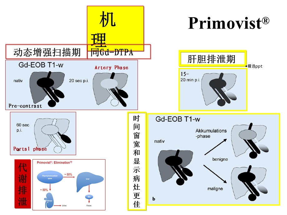 普美显临床应用课件.ppt_第3页