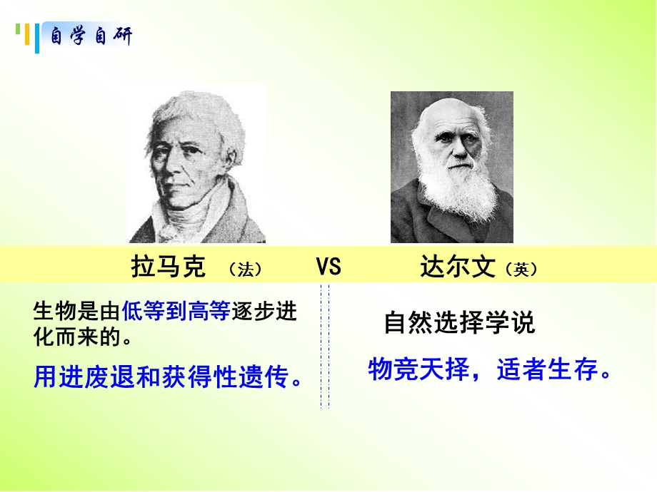 生物进化理论课件.ppt_第2页