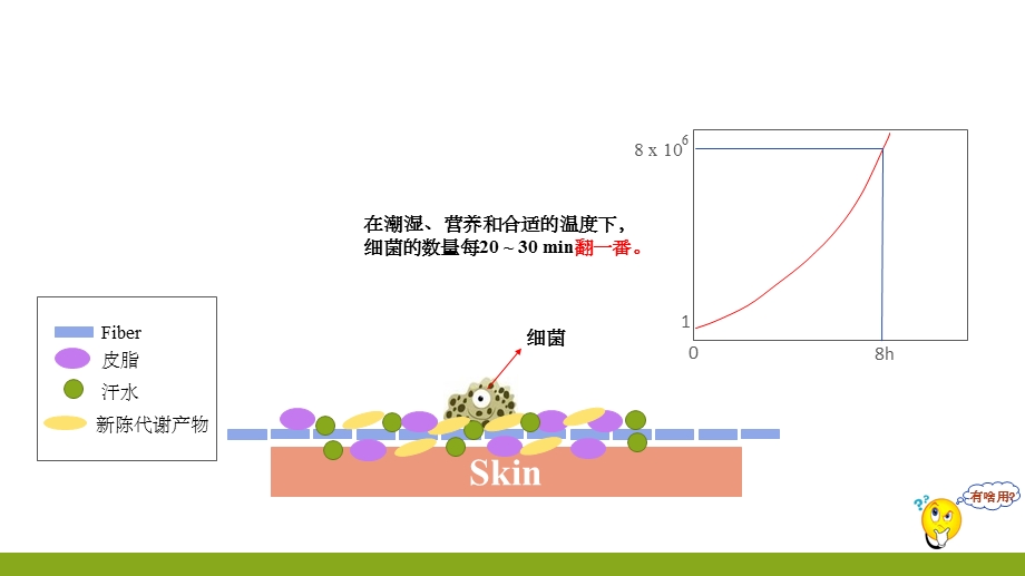 抗菌材料及其原理ppt课件.ppt_第3页