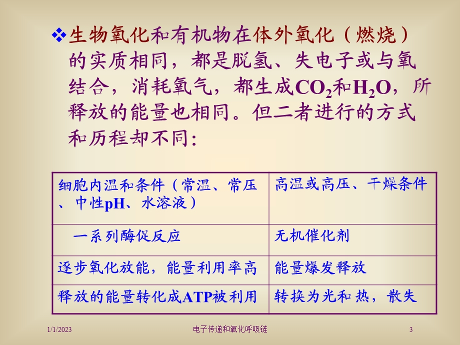 电子传递和氧化呼吸链培训课件.ppt_第3页