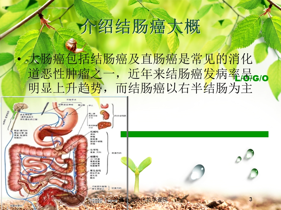 护理专业临床教学查房培训课件.ppt_第3页