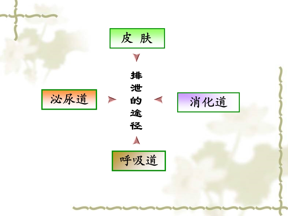 排泄的护理ppt课件.ppt_第2页