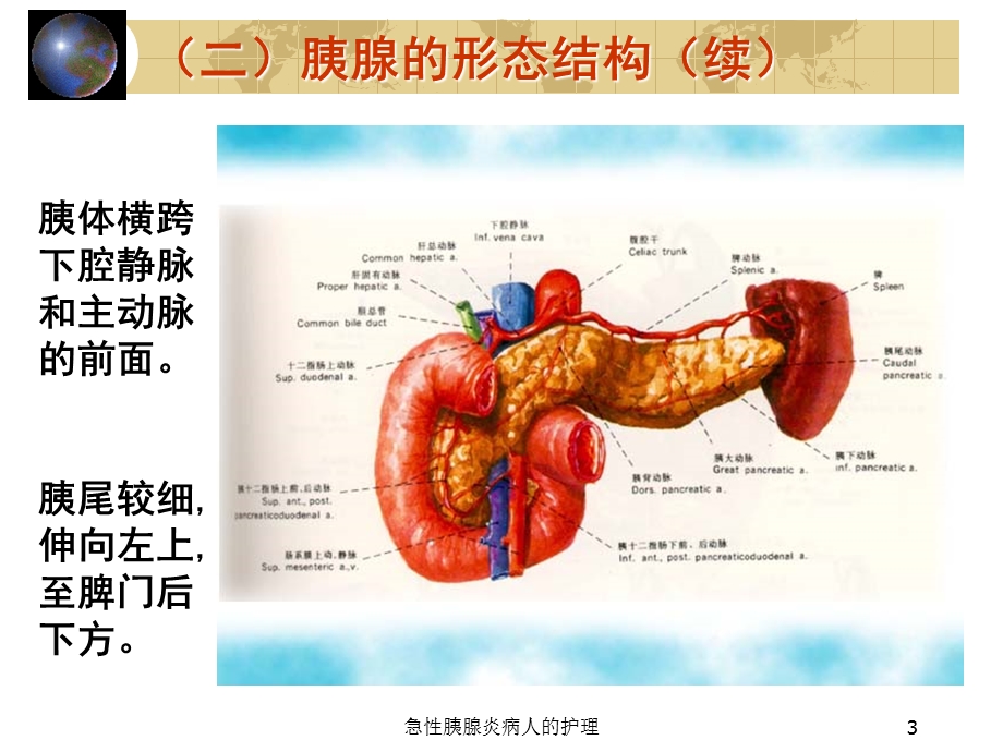 急性胰腺炎病人的护理培训课件.ppt_第3页