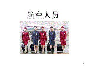 民用航空人员课件.ppt