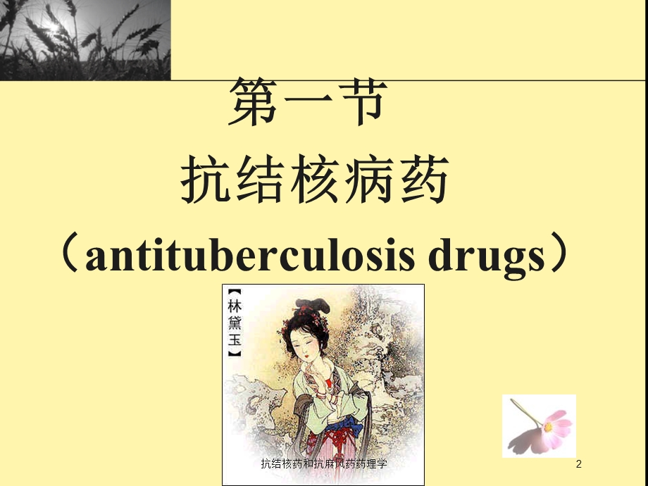 抗结核药和抗麻风药药理学培训课件.ppt_第2页