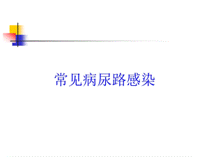 常见病尿路感染培训课件.ppt