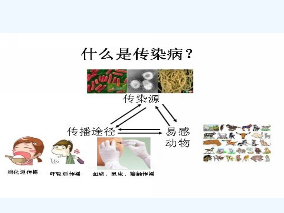 幼儿园安全预防疾病教育课ppt课件.ppt_第2页