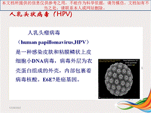 宫颈锥切术后切缘阳性的临床处置培训课件.ppt