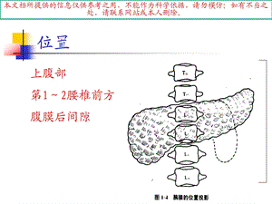 急性胰腺炎讲解培训课件.ppt