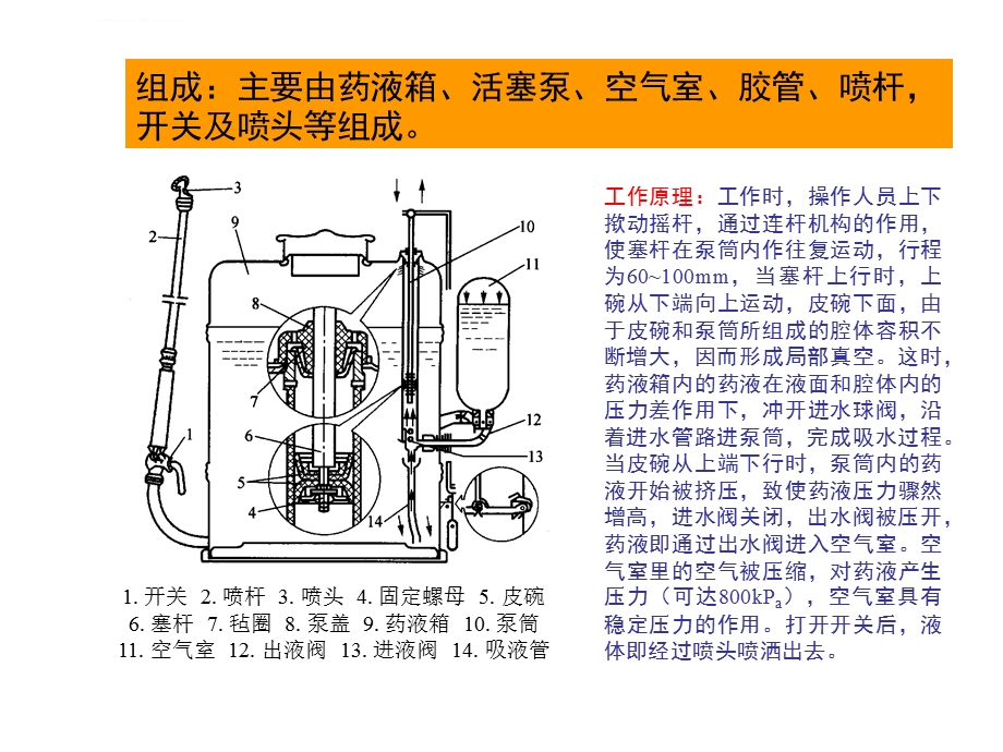 山东农业大学精品课程ppt课件.ppt_第3页