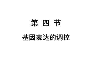 正常人体学基因表达的调控课件.pptx