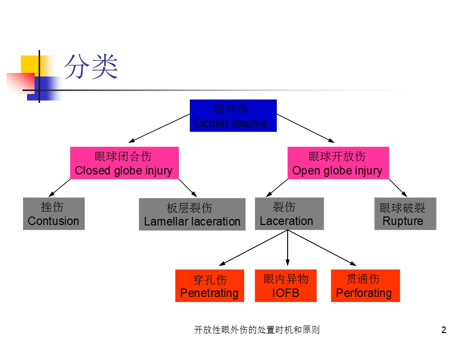 开放性眼外伤的处置时机和原则培训课件.ppt_第2页