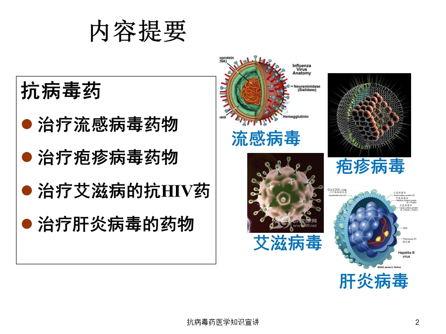 抗病毒药医学知识宣讲培训课件.ppt_第2页