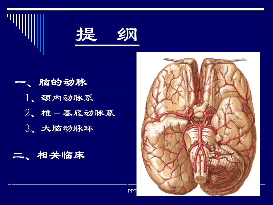 大脑动脉的解剖课件.ppt_第2页