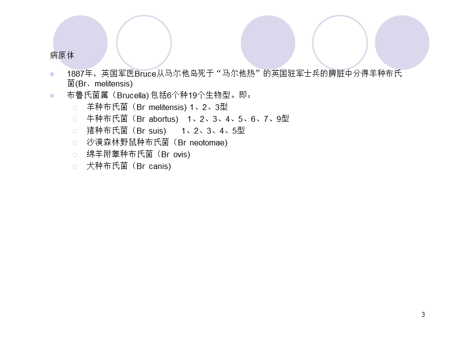 布氏杆菌病的诊断与治疗课件.ppt_第3页