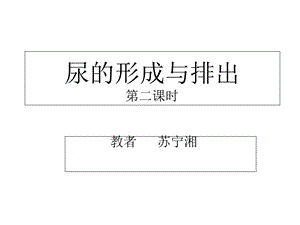 尿的形成和排出[1]课件.ppt