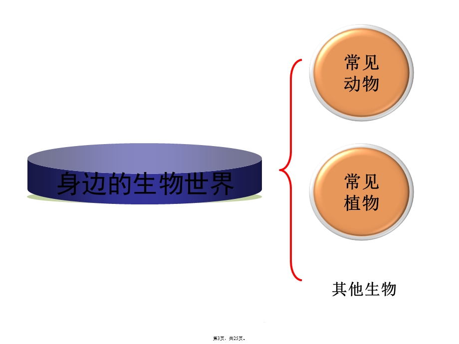 校园生物大搜索(共25张)课件.pptx_第3页