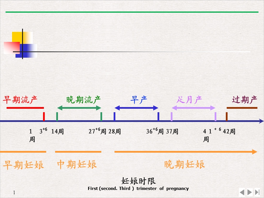 妇产科正常分娩课件.pptx_第3页