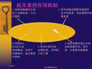 抗生素临床应用培训课件.ppt