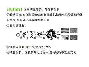 多细胞生物体的结构层次(课件).ppt