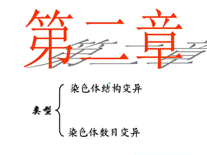 染色体数目结构变异课件.ppt