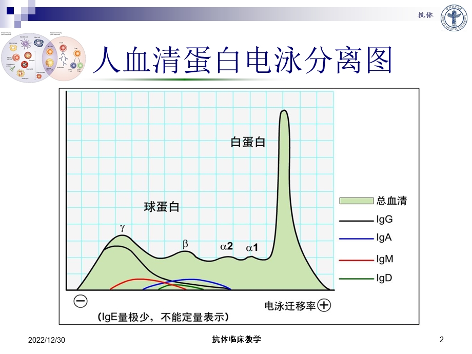 抗体临床教学培训课件.ppt_第2页