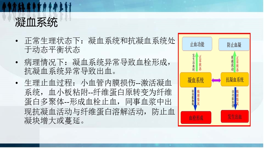 抗凝药物概述ppt课件.pptx_第2页