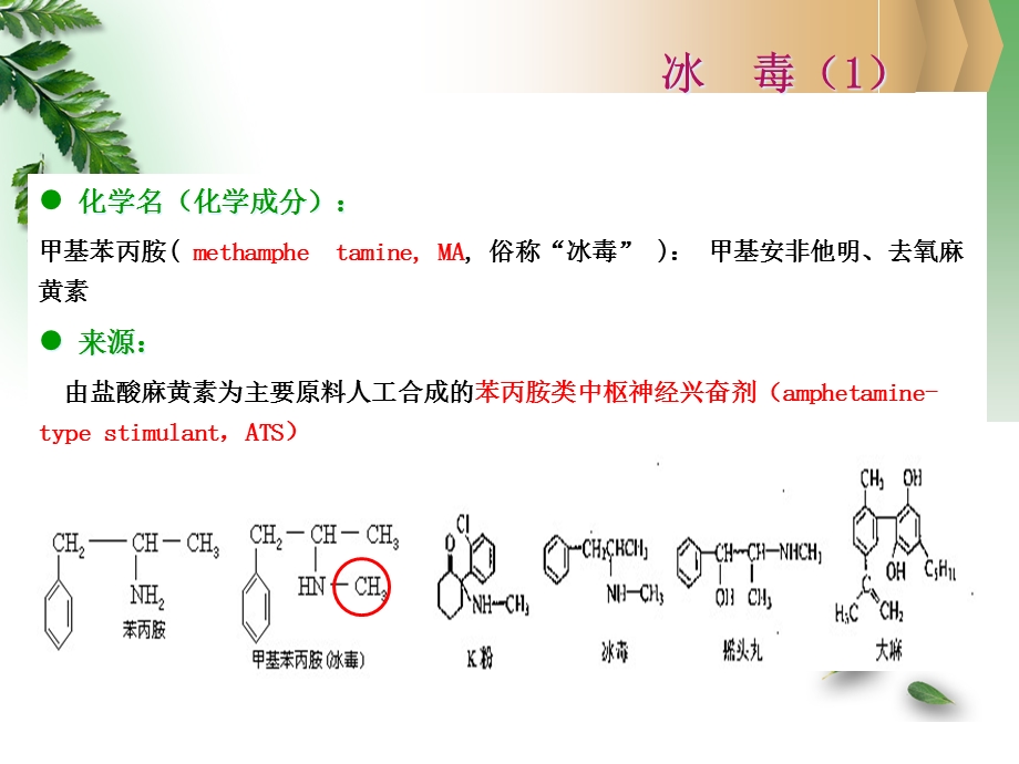 护理查房改教案指南教学课件.pptx_第3页