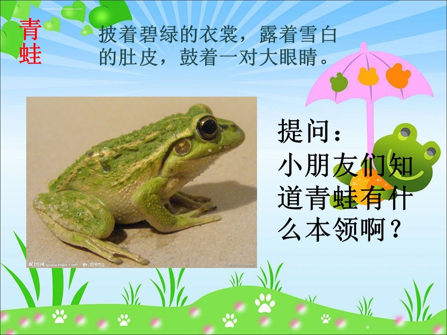 小蝌蚪变青蛙ppt课件.ppt_第3页