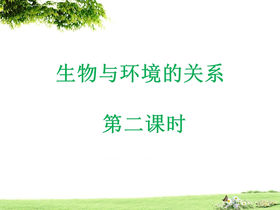 探究非生物因素对某种动物的影响ppt课件.ppt_第1页