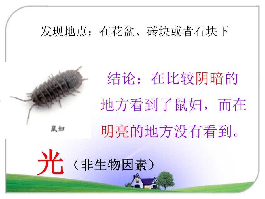 探究非生物因素对某种动物的影响ppt课件.ppt_第3页