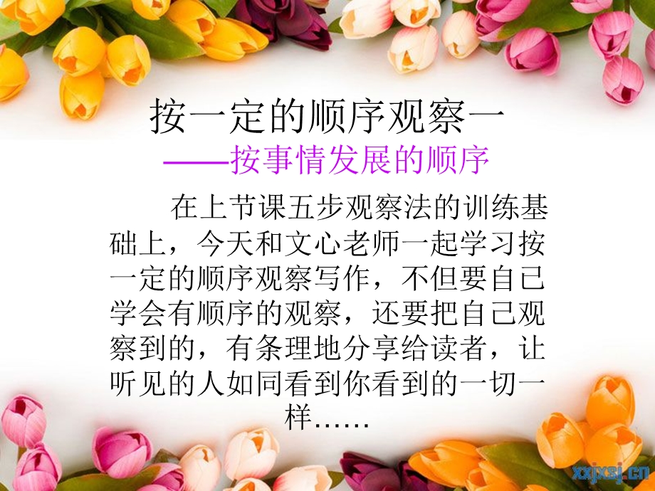 按一定的顺序观察ppt课件.ppt_第1页