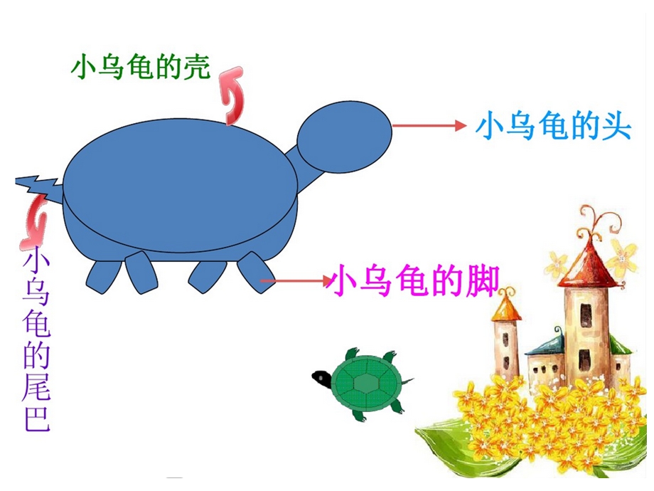 幼儿园小班科学小乌龟ppt课件.ppt_第2页