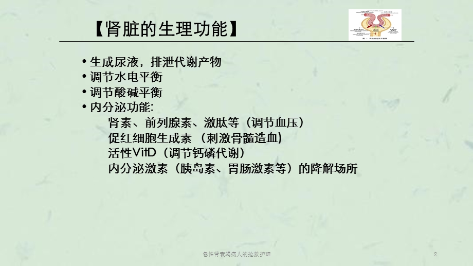 急性肾衰竭病人的抢救护理课件.ppt_第2页