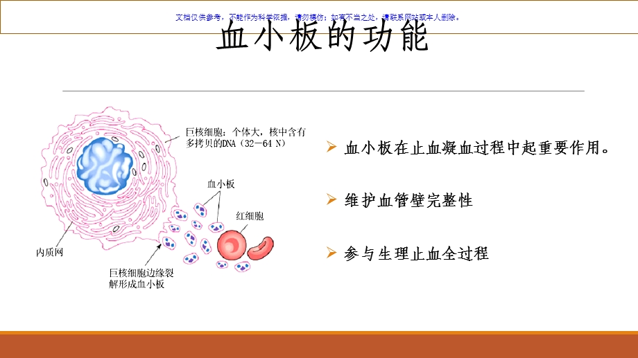 成人原发免疫性血小板减少症诊断与治疗课件.ppt_第2页