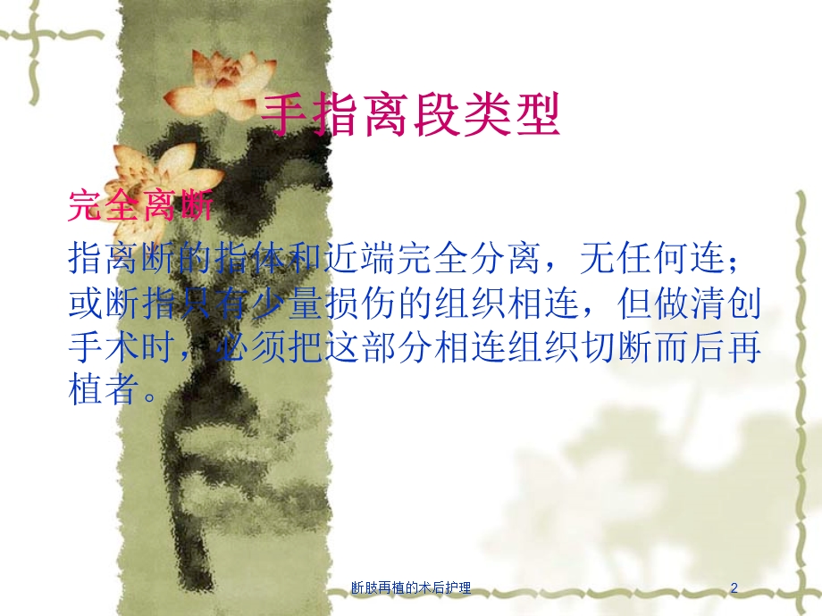 断肢再植的术后护理培训课件.ppt_第2页