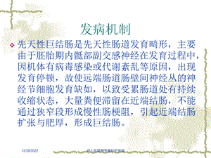 成人巨结肠专题知识讲座培训课件.ppt