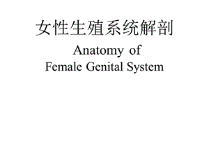 女性生殖系统解剖AnatomyofFemaleGenitalSystem课件.ppt