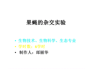 果蝇的杂交实验课件.ppt