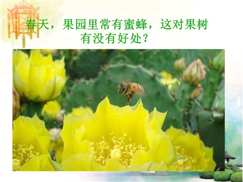 生物：711植物的生殖和发育公开课一等奖课件.ppt_第2页