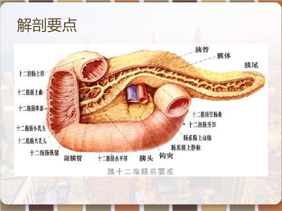 急性胰腺炎护理课件.pptx_第2页