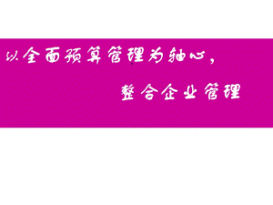 某公司全面预算管理模式课件.pptx