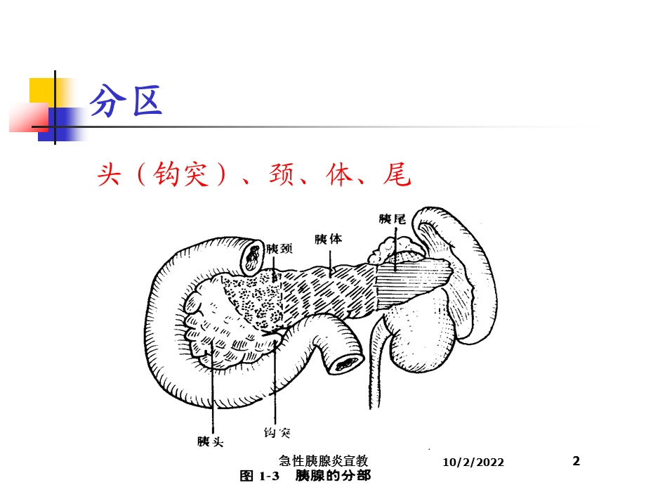 急性胰腺炎宣教培训课件.ppt_第2页